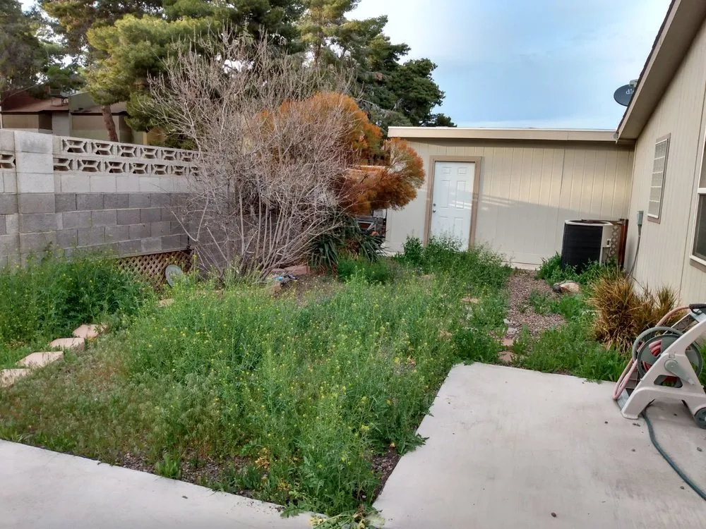 Custom landscape design in Las Vegas, NV by Navarro Landscaping