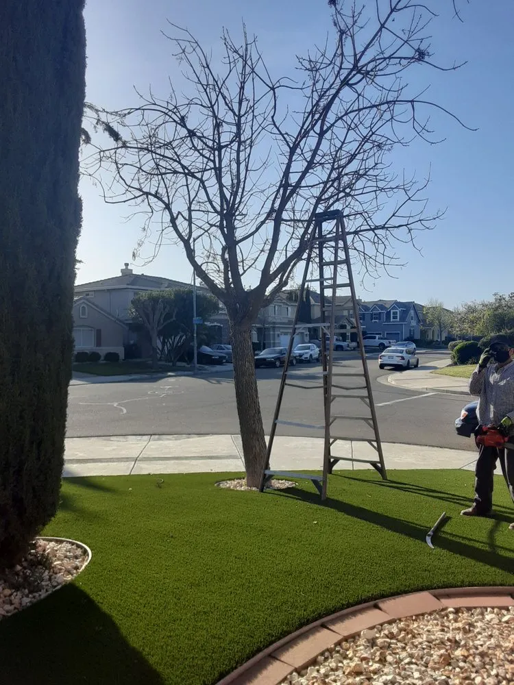 Trusted lawn care service experts serving Stockton, CA - Navarro Landscaping