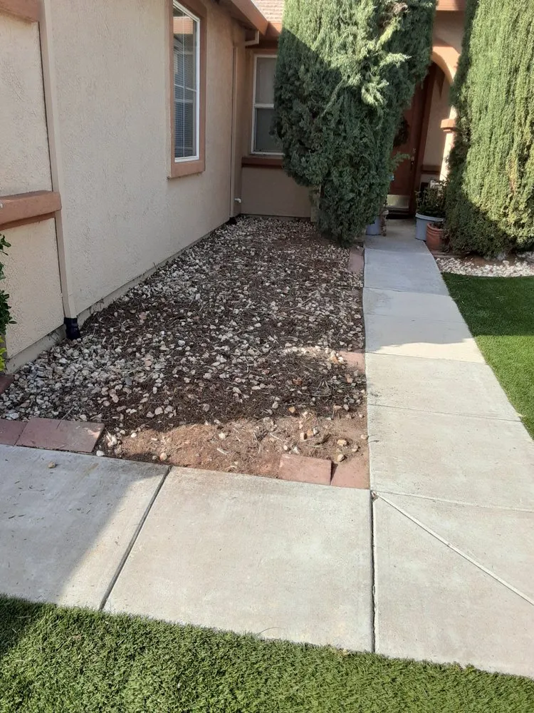 Top-rated yard cleanup service for year-round maintenance in Stockton, CA by Navarro Landscaping