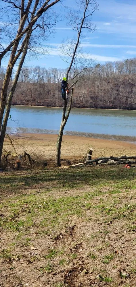 Trusted landscape installation in Knoxville, TN - Navarro Landscaping Tree Service