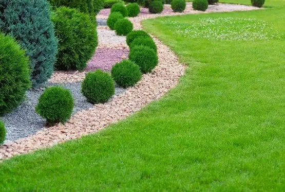 Affordable lawn mowing service in Knoxville, TN - Navarro Landscaping Tree Service