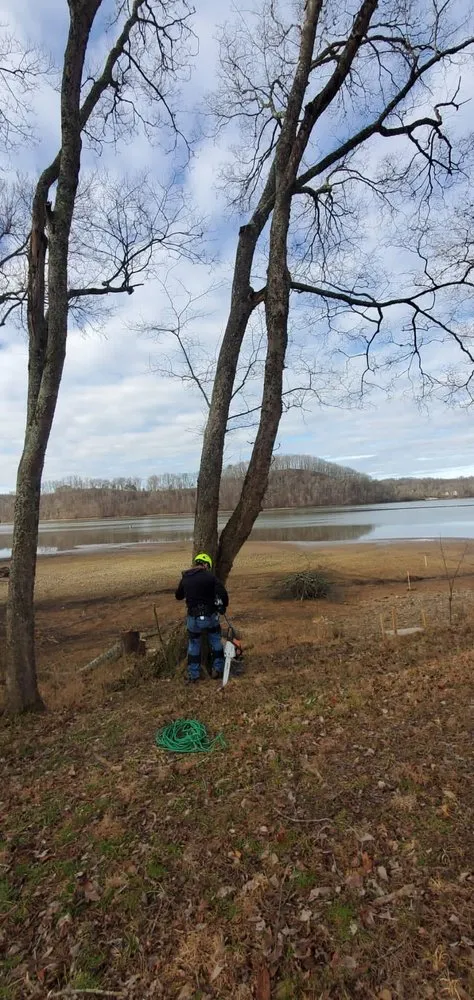 Custom landscape design in Knoxville, TN - Navarro Landscaping Tree Service