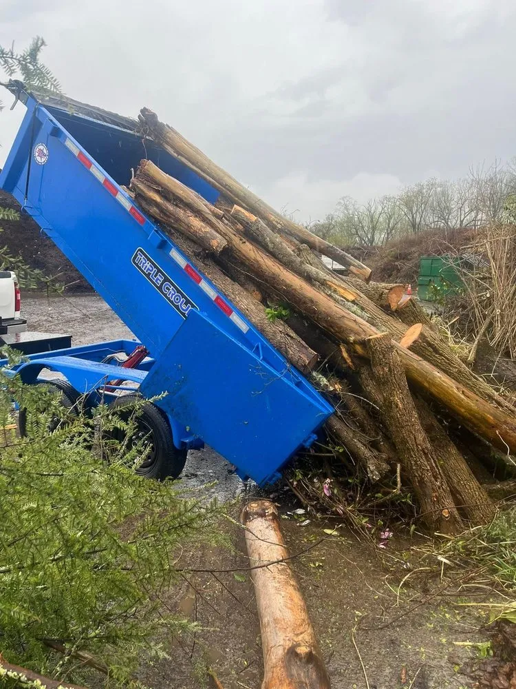 Trusted landscape design in Knoxville, TN - Navarro Landscaping Tree Service