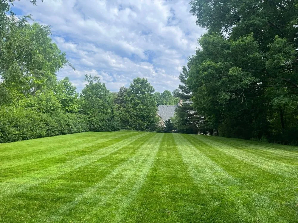 Affordable residential landscaping for outdoor upgrades in Knoxville, TN by Navarro Landscaping Tree Service