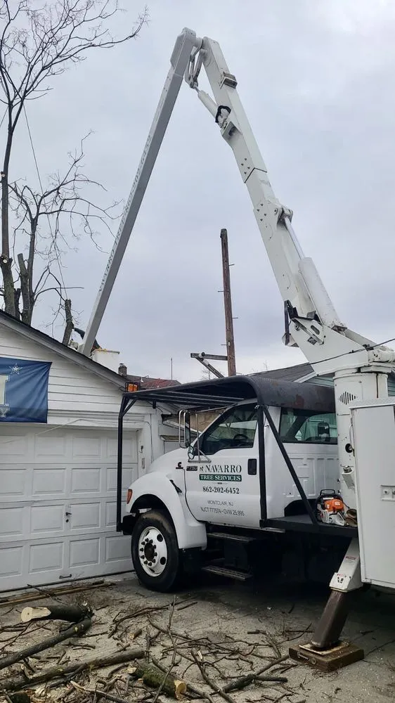 Professional yard maintenance in Montclair, NJ - Navarro Lawn And Tree Services