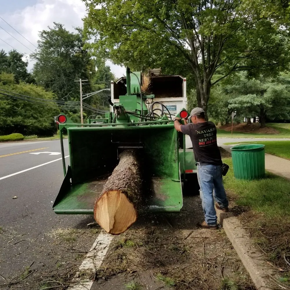 Top-rated yard maintenance in Montclair, NJ by Navarro Lawn And Tree Services