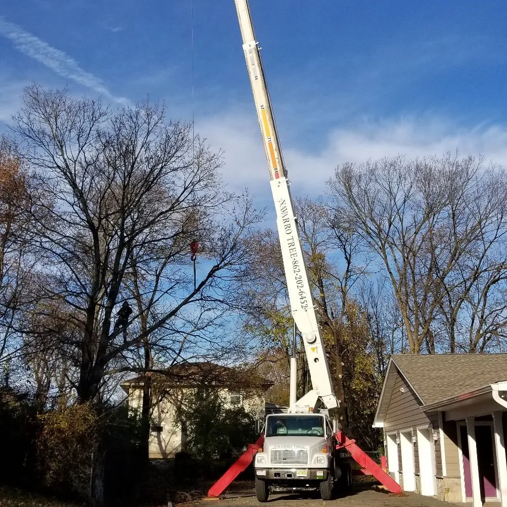 Local lawn mowing service for outdoor upgrades in Montclair, NJ by Navarro Lawn And Tree Services