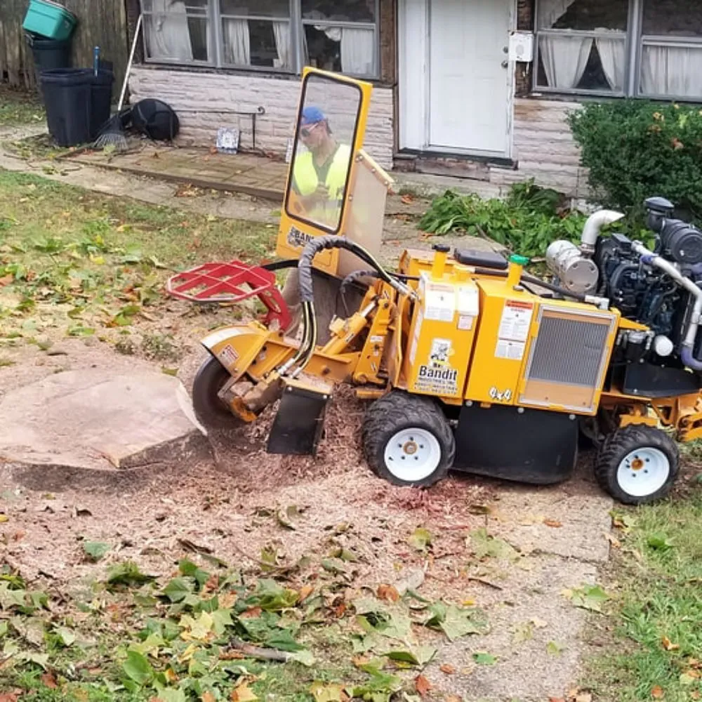 Professional landscape design in Montclair, NJ by Navarro Lawn And Tree Services