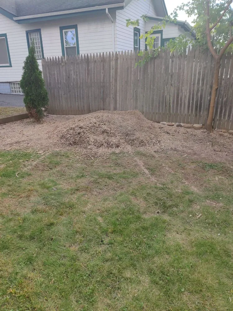 Expert yard maintenance for outdoor upgrades across Montclair, NJ - Navarro Lawn And Tree Services