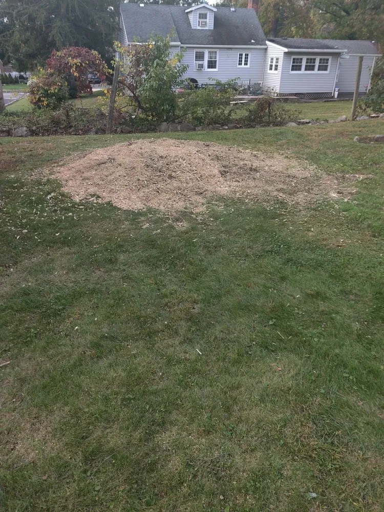 Expert landscaping services in Montclair, NJ by Navarro Lawn And Tree Services