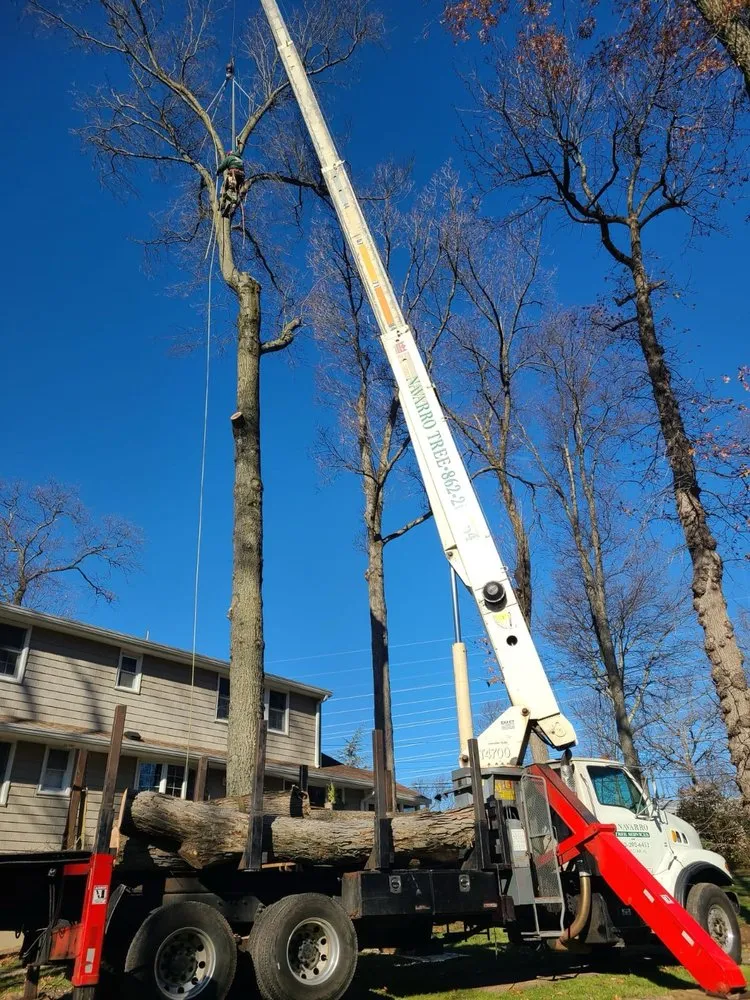 Trusted landscape installation for homes across Montclair, NJ - Navarro Lawn And Tree Services