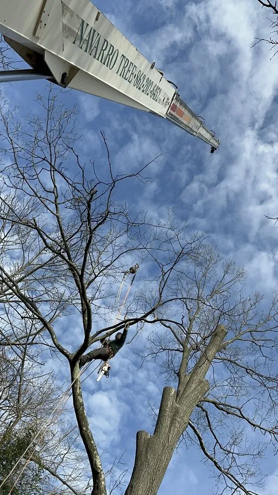 Custom outdoor landscaping for residential properties across Montclair, NJ - Navarro Lawn And Tree Services