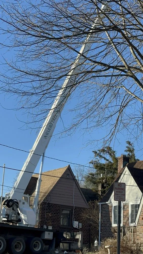 Local landscape installation with custom design across Montclair, NJ - Navarro Lawn And Tree Services