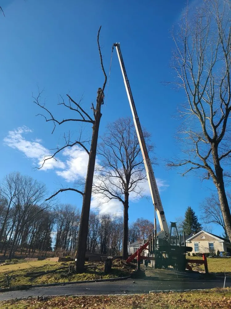 Top-rated landscaping services near you across Montclair, NJ - Navarro Lawn And Tree Services