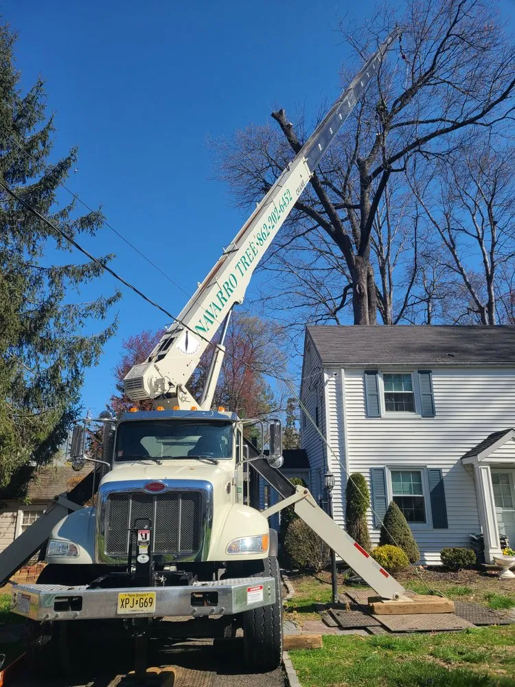 Local yard maintenance experts serving Montclair, NJ - Navarro Lawn And Tree Services