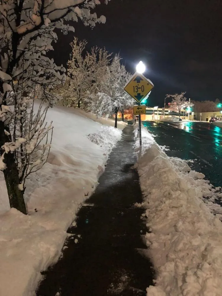 Affordable landscape design for outdoor upgrades in Trenton, NJ by Navarro Pavers & Snow Removal