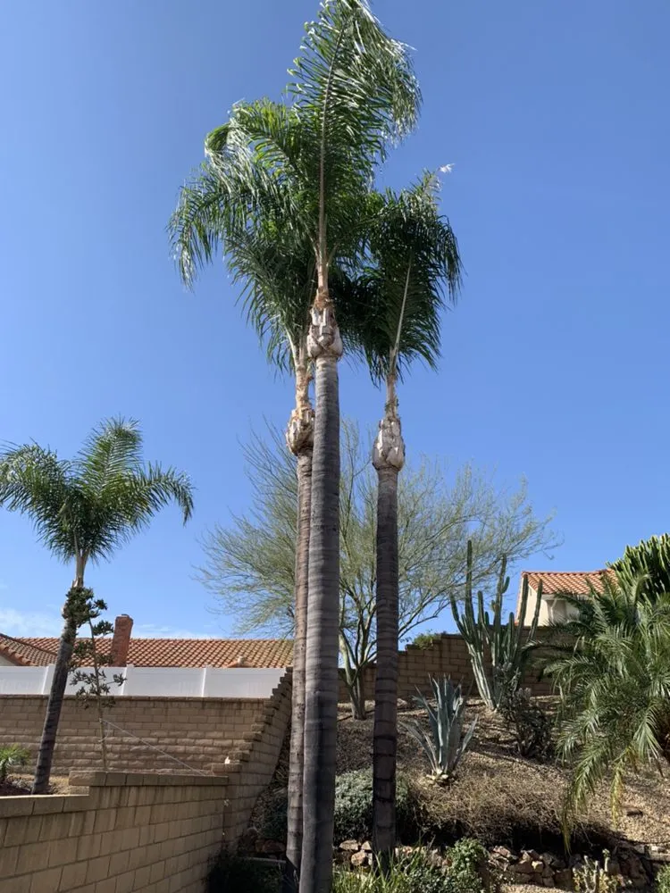 Expert lawn mowing service for homes across Upland, CA - Navarro Tree Service