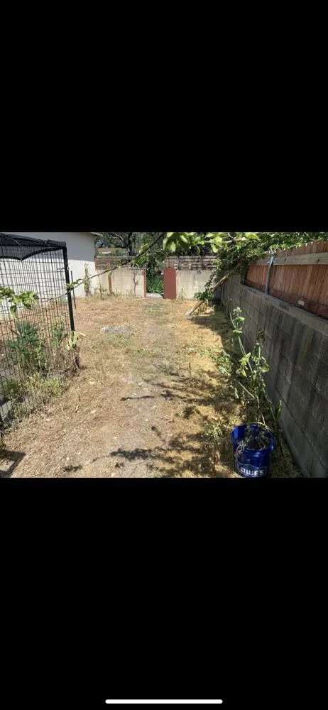 Top-rated residential landscaping in Upland, CA by Navarro Tree Service