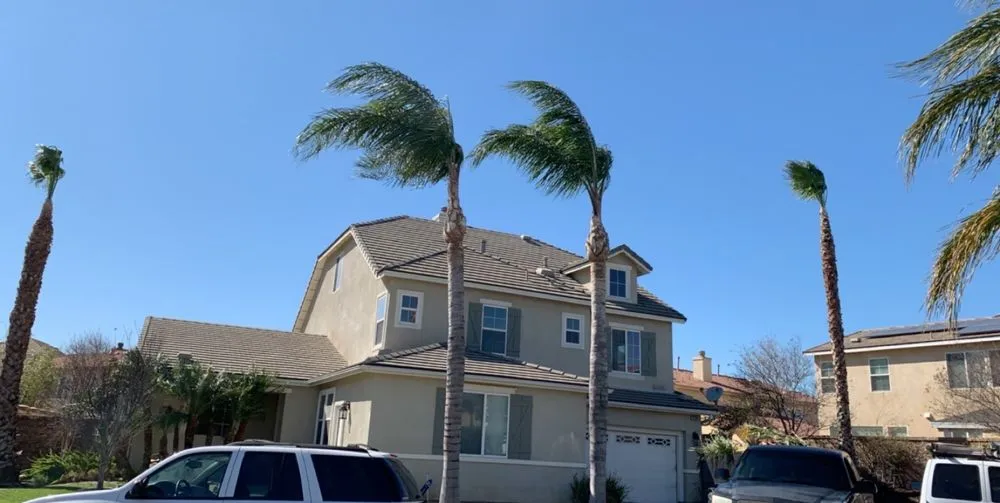 Local landscape design experts serving Upland, CA - Navarro Tree Service