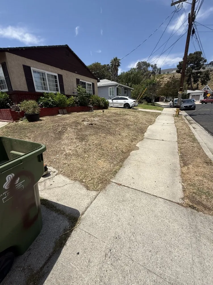 Affordable landscape installation in San Fernando Valley, CA - Navarro’s Landscaping and Pressure Washing Services