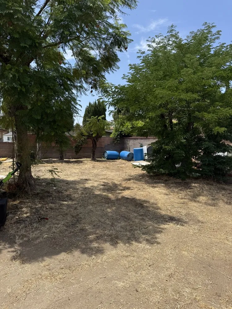 Trusted lawn care service for year-round maintenance in San Fernando Valley, CA by Navarro’s Landscaping and Pressure Washing Services