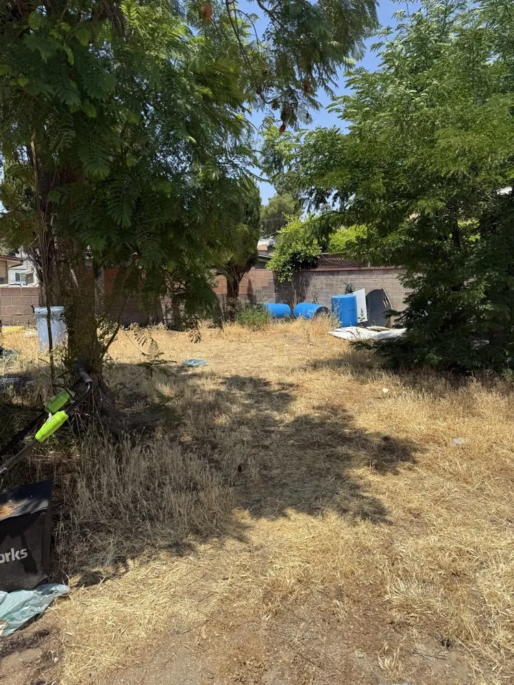 Reliable landscape installation for year-round maintenance in San Fernando Valley, CA by Navarro’s Landscaping and Pressure Washing Services