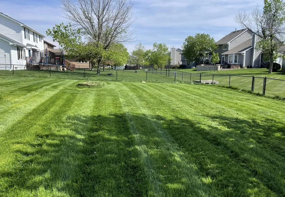 Expert yard cleanup service in West Des Moines, IA - Nava's Lawn Care & Junk Hauling