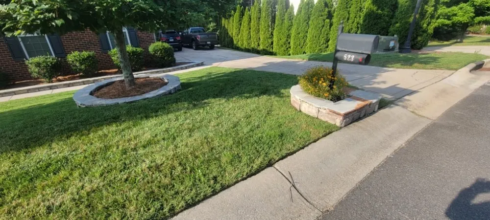 Expert yard cleanup service in York, SC by Navas Lawn Care And Paver Installation