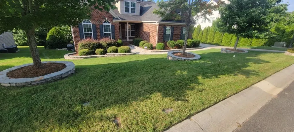Trusted yard cleanup service experts serving York, SC - Navas Lawn Care And Paver Installation
