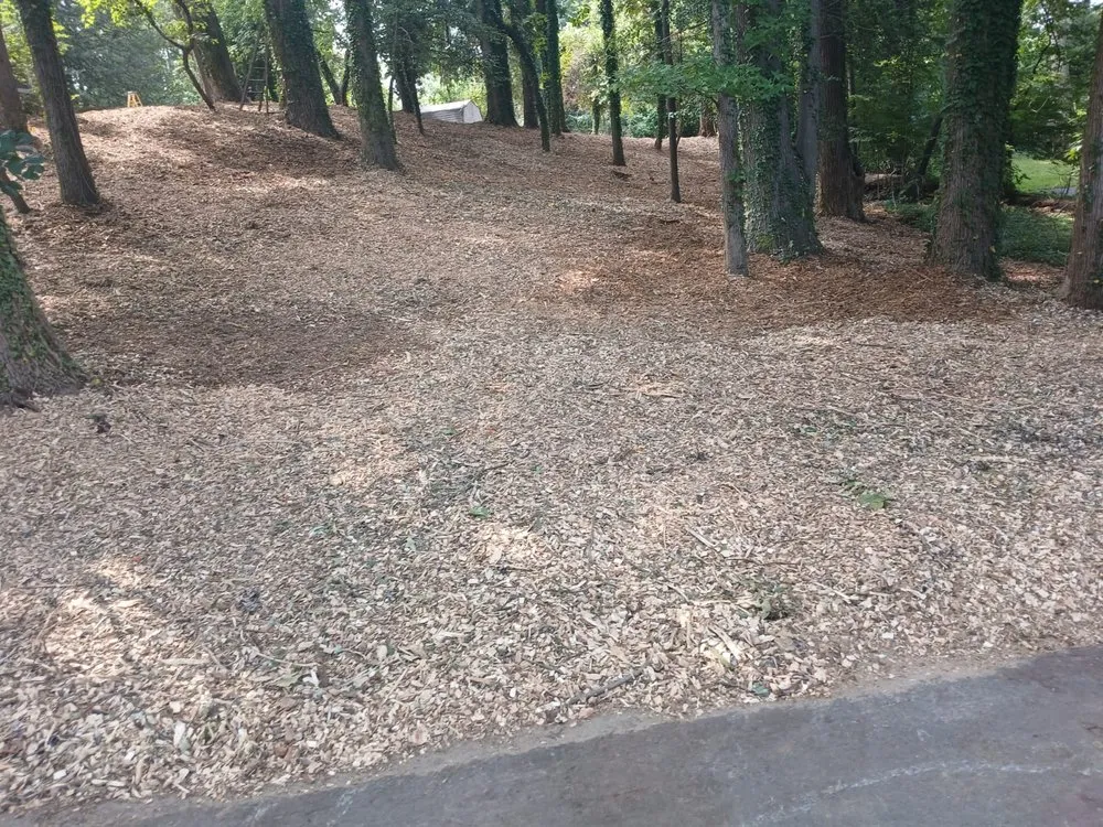 Expert garden landscaping for outdoor upgrades across Brooklyn Park, MD - Navas Services