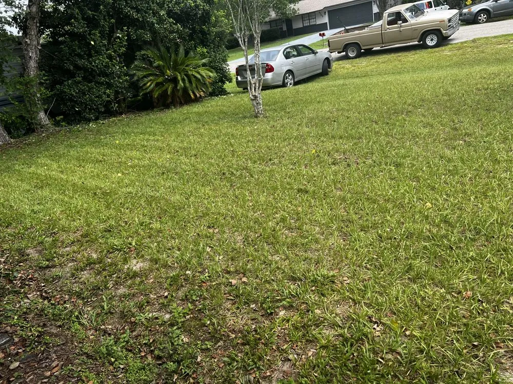 Reliable lawn mowing service experts serving Ocala, FL - Nave & Sons