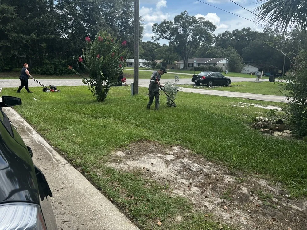 Affordable landscape design experts serving Ocala, FL - Nave & Sons