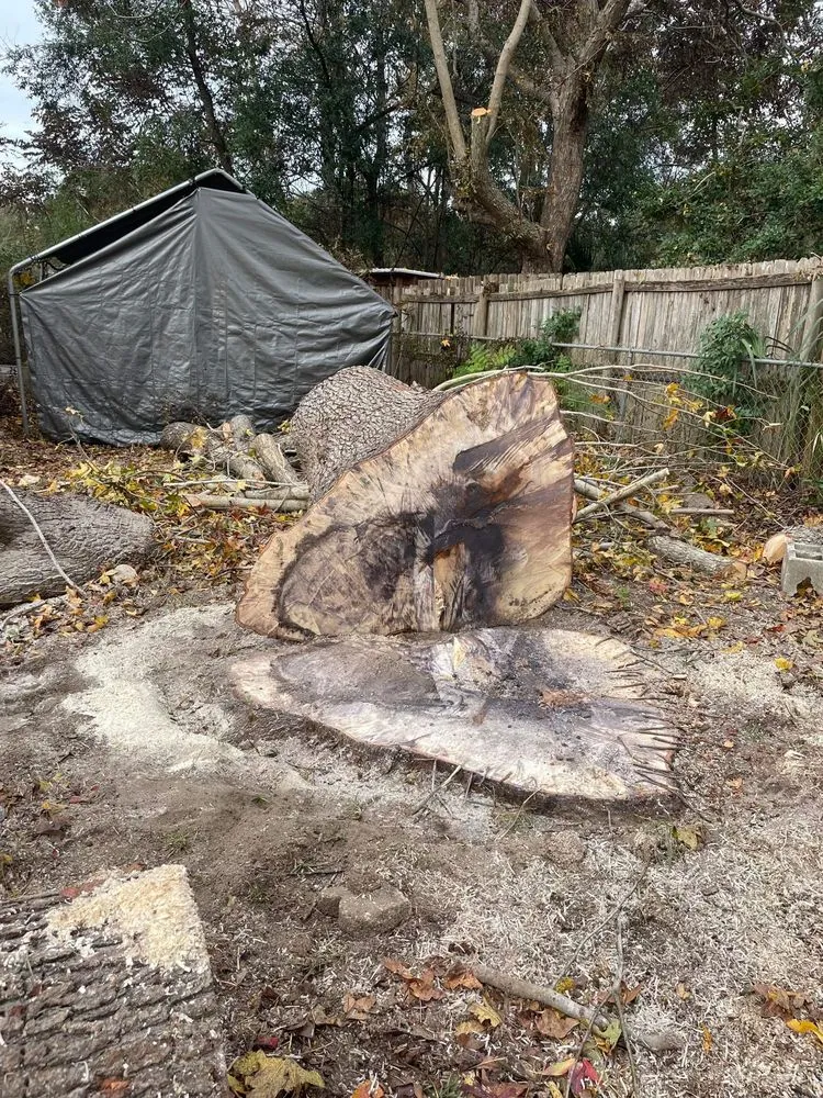 Professional lawn mowing service in Ocala, FL by Nave & Sons