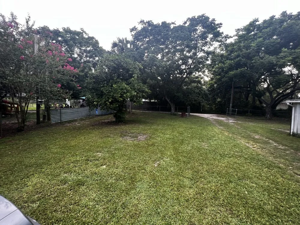 Expert yard maintenance in Ocala, FL - Nave & Sons