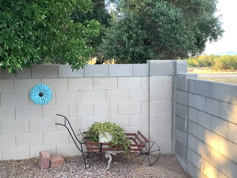 Affordable lawn care service in Tucson, AZ - Navi Land