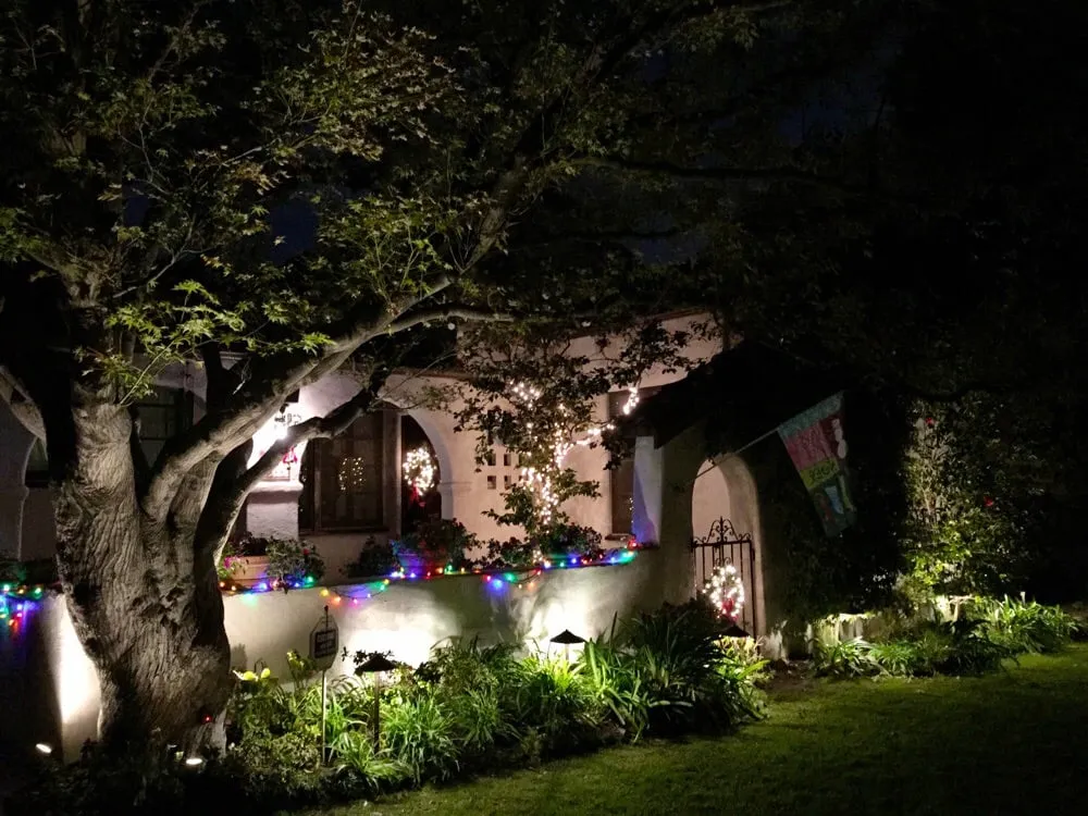 Expert yard cleanup service experts serving Lawndale, CA - Navlan's Landscape