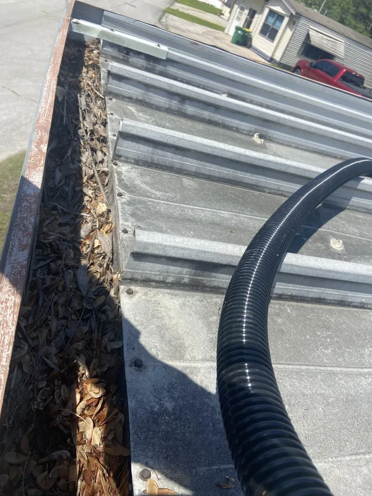 Professional yard cleanup service experts serving Summerfield, FL - Nayara Lawn Care