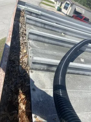 Nayara Lawn Care Logo