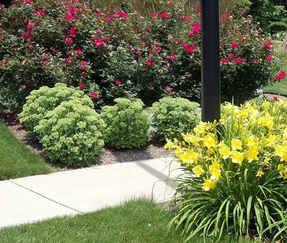 Custom landscape installation for beautiful yards across Kalamazoo, MI - Naylor Landscape Management