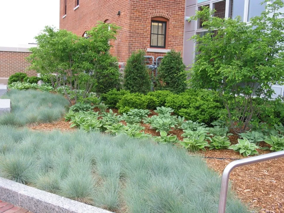 Professional outdoor landscaping experts serving Kalamazoo, MI - Naylor Landscape Management