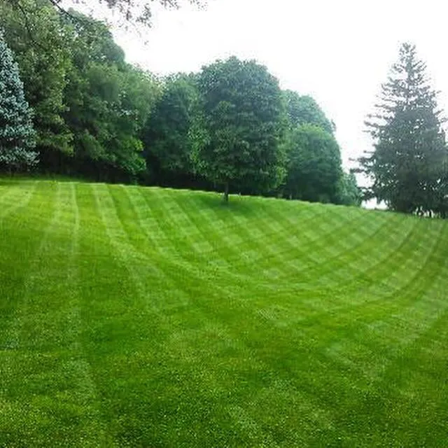 Top-rated landscape design in Kalamazoo, MI by Naylor Landscape Management