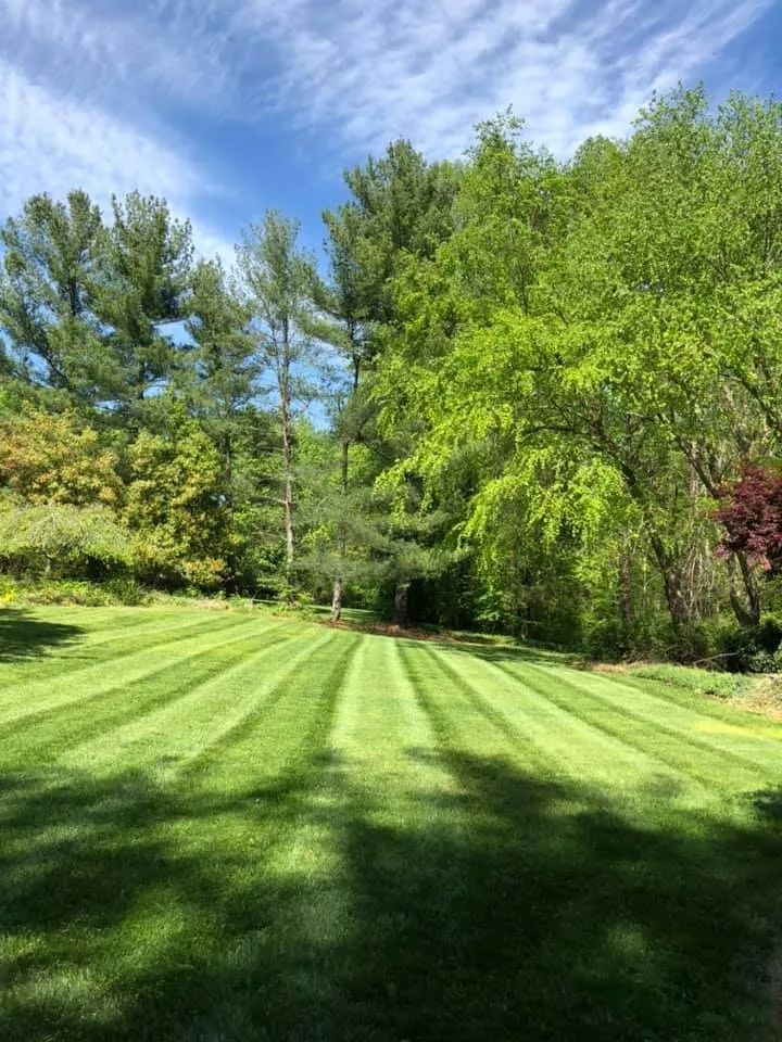 Expert landscape design for homes in Trinity, NC by Naylor’s Landscaping & Grading