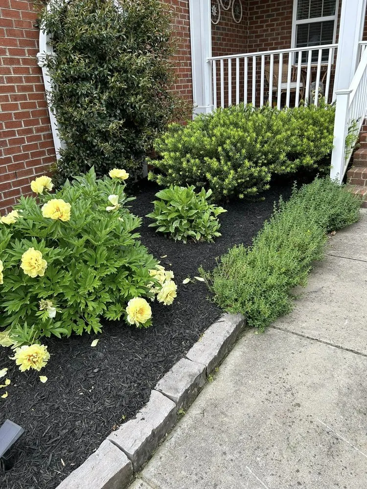 Custom landscape installation for year-round maintenance in Trinity, NC by Naylor’s Landscaping & Grading