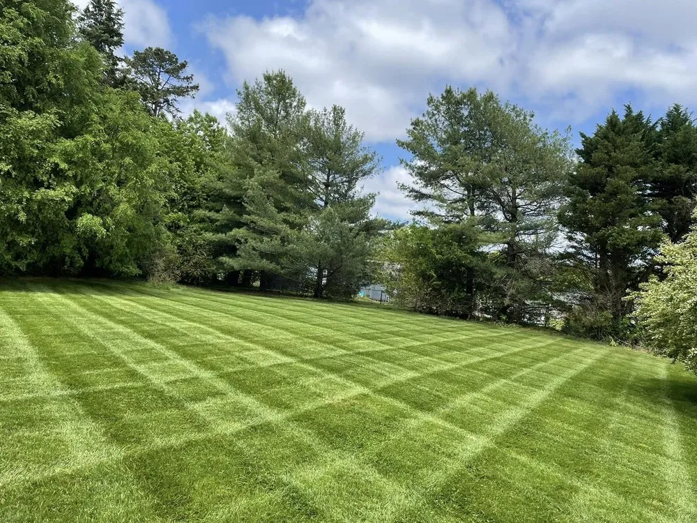 Custom outdoor landscaping experts serving Trinity, NC - Naylor’s Landscaping & Grading