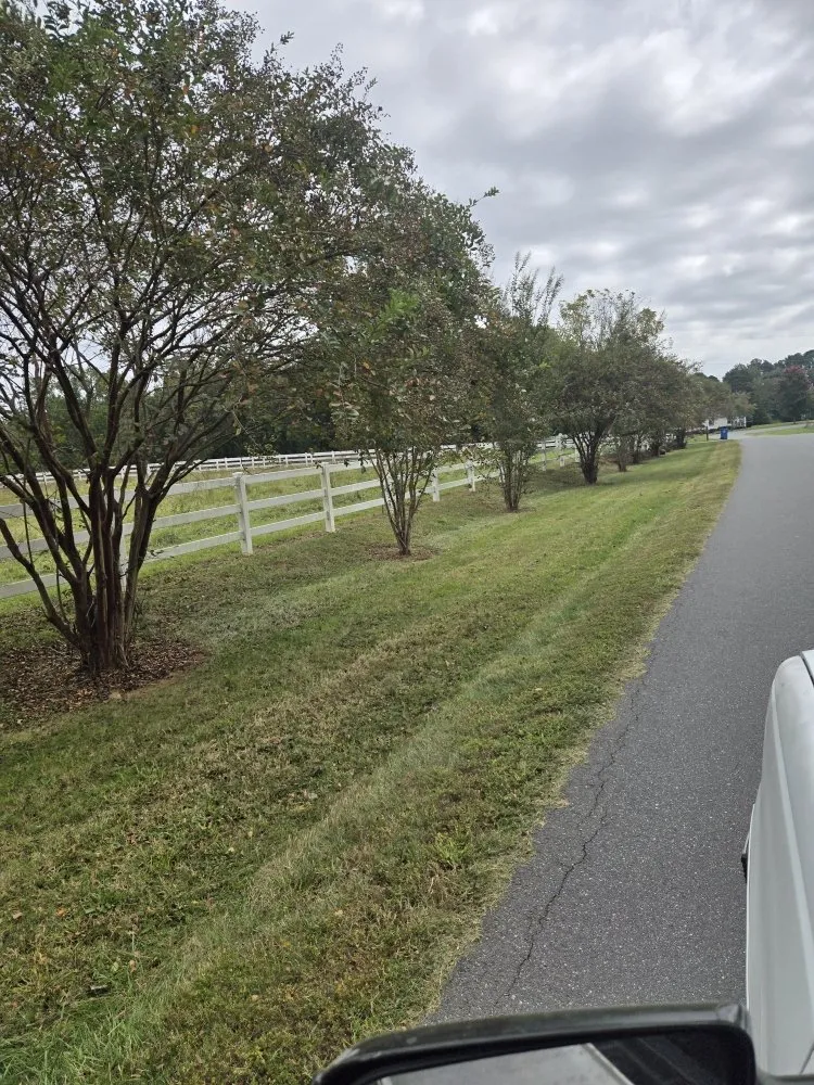 Local landscape installation in Matthews, NC by Naylors Lawn Care And More