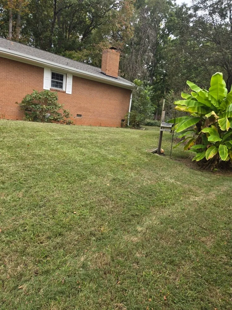 Top-rated yard maintenance in Matthews, NC by Naylors Lawn Care And More