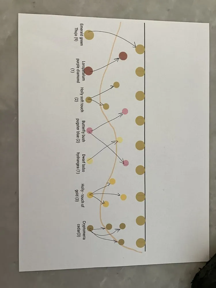 Reliable yard cleanup service for beautiful yards across Norcross, GA - Naz Landscaping