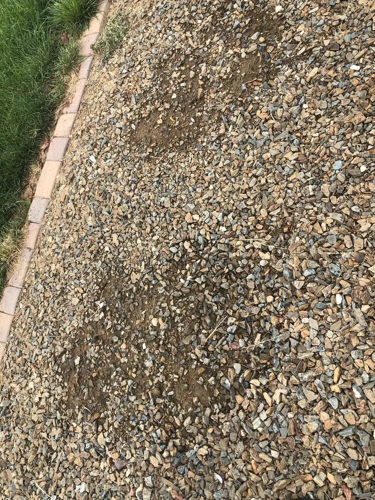 Trusted residential landscaping near you across Prescott Valley, AZ - NAZ Landscaping