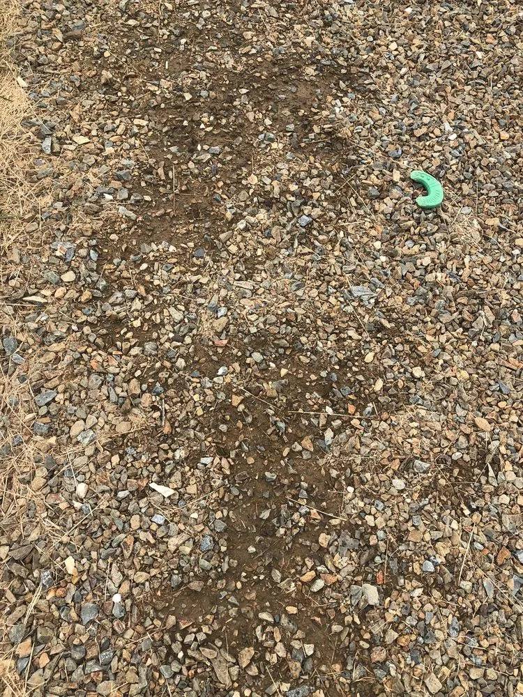 Local garden landscaping in Prescott Valley, AZ - NAZ Landscaping