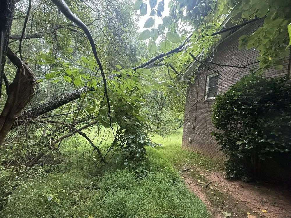 Local landscape installation in Roswell, GA - Naz Tree Service